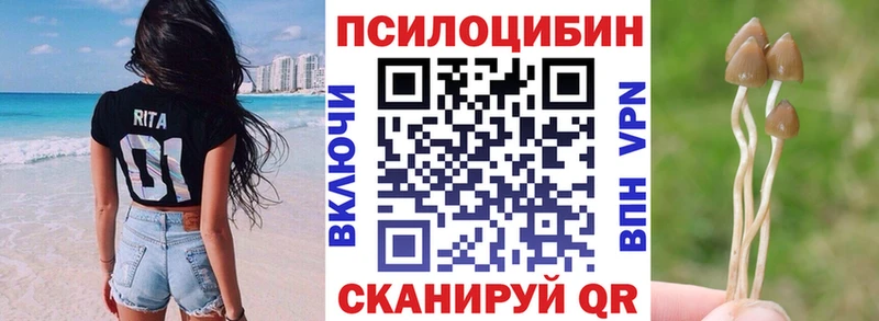Галлюциногенные грибы MAGIC MUSHROOMS Опочка