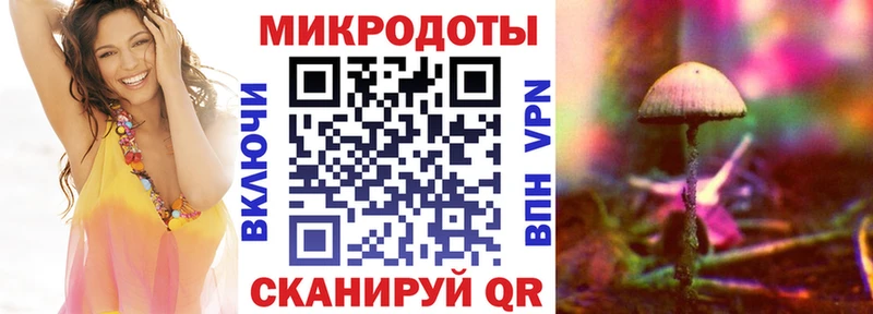 Псилоцибиновые грибы Psilocybe  Опочка 
