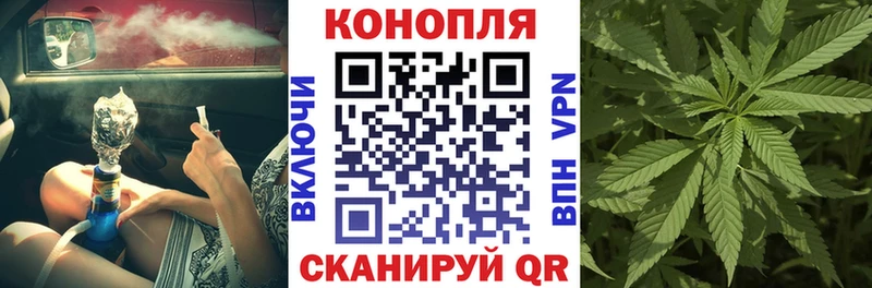 Канабис MAZAR  Опочка 